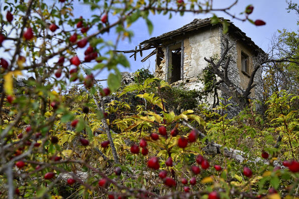 Изоставената България: Есенните останки край село Гърбище