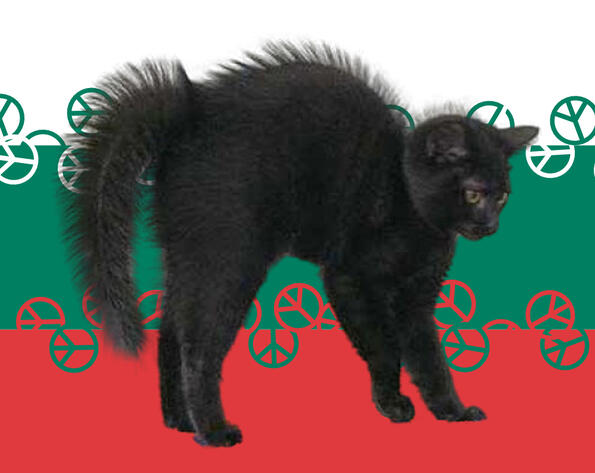 Пухкави котаци рекламират българските градове в откачени GIF-чета