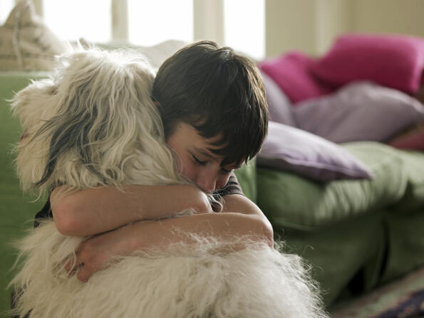 ВИДЕО: Безусловната любов на едно куче