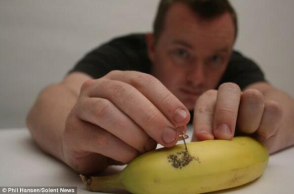 Репродукции на известни картини върху банани