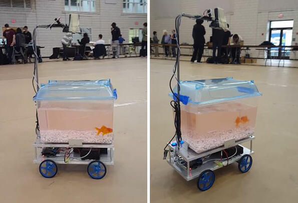 Златна рибка получи роботизиран аквариум и ще преследва световна доминация