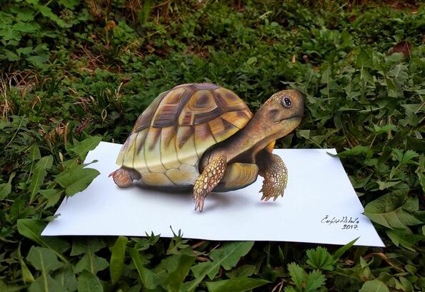 <p>Никола е на 31 години от Сърбия и се занимава с рисуване в продължение на 4 години. Той споделя последните си 3D рисунки, които е създавал в продължение на 2 години. Всичко, което виждате тук е създадено само с помощта на моливи и флумастери.</p>