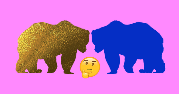 Загадка: какъв цвят е мечката?