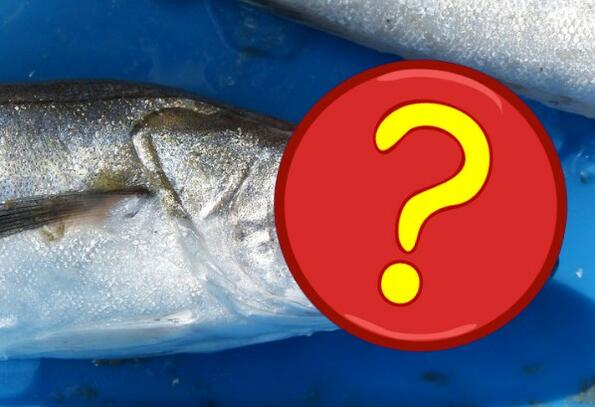 Защо рибата хек се продава обезглавена?