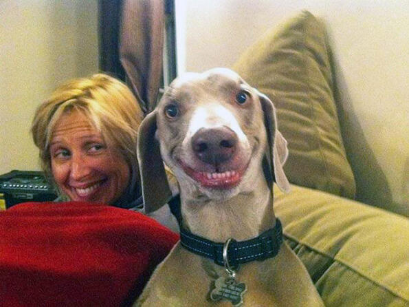 <p>Ако си добър стопанин и твоето куче ще се усмихва така!</p>