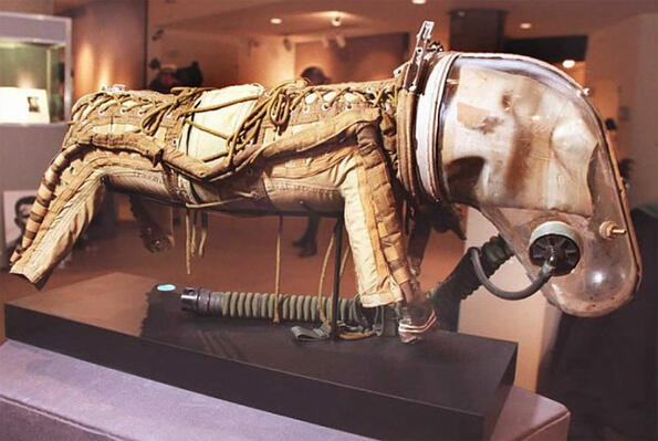 Какви скафандри са носили кучетата Белка и Стрелка в космоса?