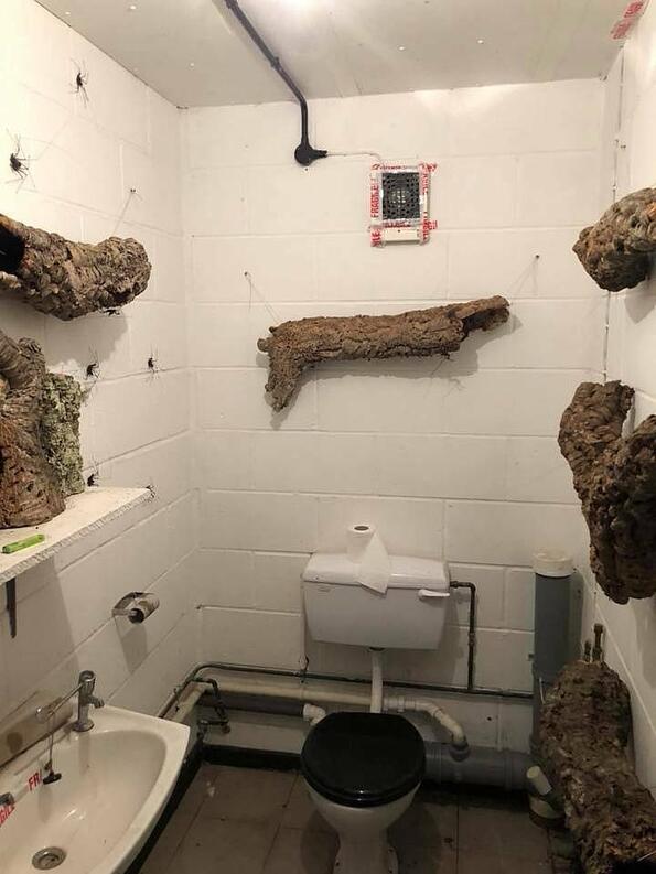 Най-страшната тоалетна, която някога си виждал!