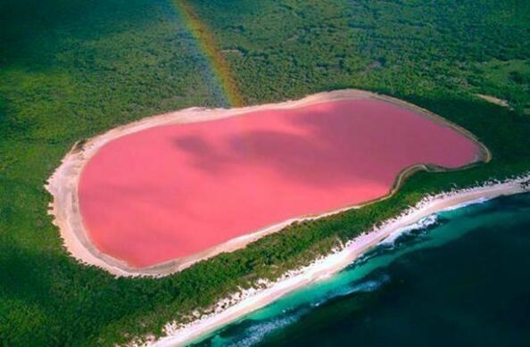 Розовите езера на Австралия