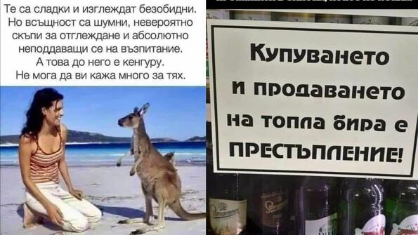 Най-смешните картинки, които се завъртяха в социалните мрежи тази седмица! <p>Да видим какво са ти подготвили всички онези хора в интернет, които ти доволно псуваш всеки ден. Може да се радваш, че поне е петък... ако е някаква утеха.</p>