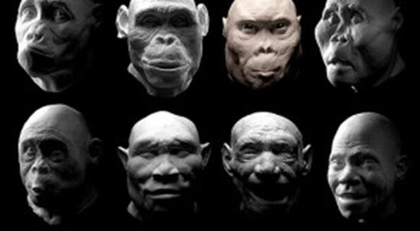 ВИДЕО: Изключителните изменения на човешкото лице през последните 7 милиона години