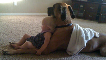 Кучетата и бебетата са най-добри приятели