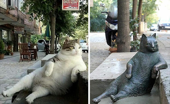 Направиха статуя на котка, превърнала се в интернет герой