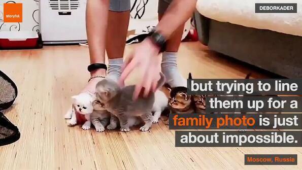 Видео на деня: да се опиташ да сложиш 10 котенца пред камерата