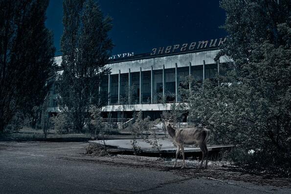 7 от последните снимки, направени около Чернобил
