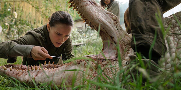 Я виж Натали Портман като учен биолог, който проверява кариесите на крокодилите