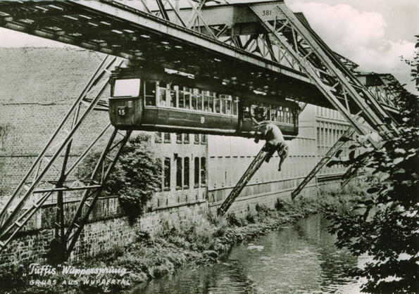 Падащ слон в река! Изключително странна снимка от миналото!