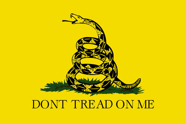 "Не ме заплашвай" или символиката на един флаг