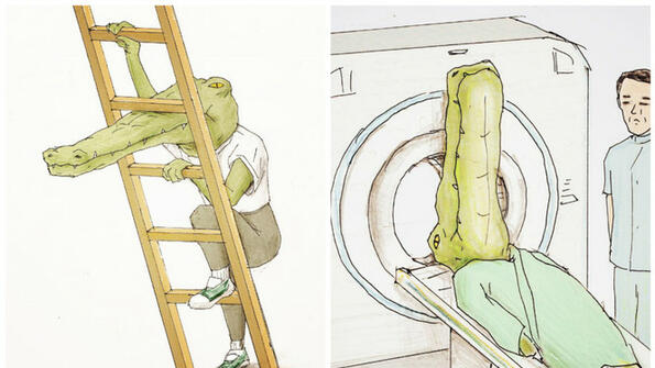 Много смешни илюстрации за живота на крокодила!