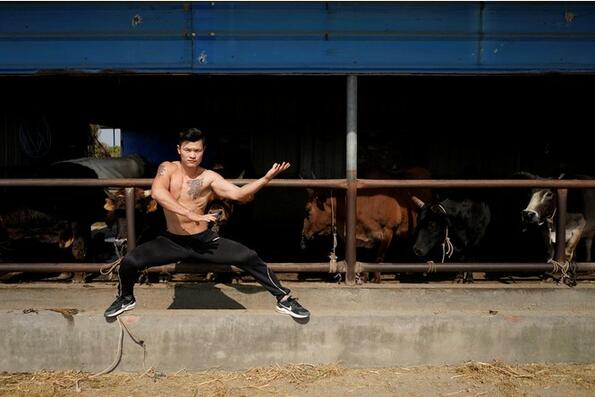 Китайски майстор на бойните изкуства се бори с бикове (ВИДЕО)