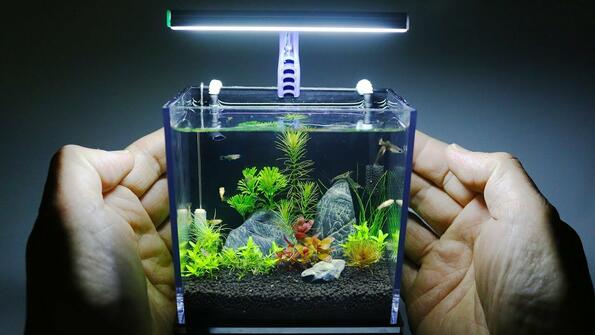 Как сам да си направиш най-малкия аквариум за растения!