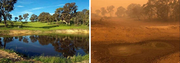 Страшните последици от пожара в Австралия