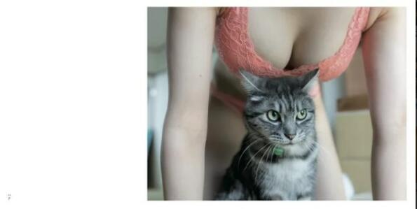 Котки и женски гърди - нова фотосесия на японски фотограф