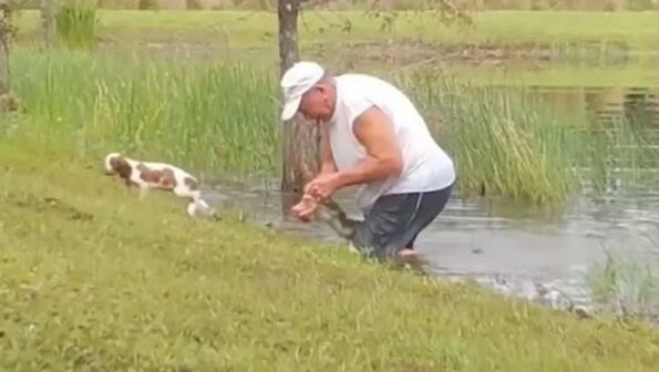 Пенсионер от Флорида се сби с алигатор, за да спаси кучето си