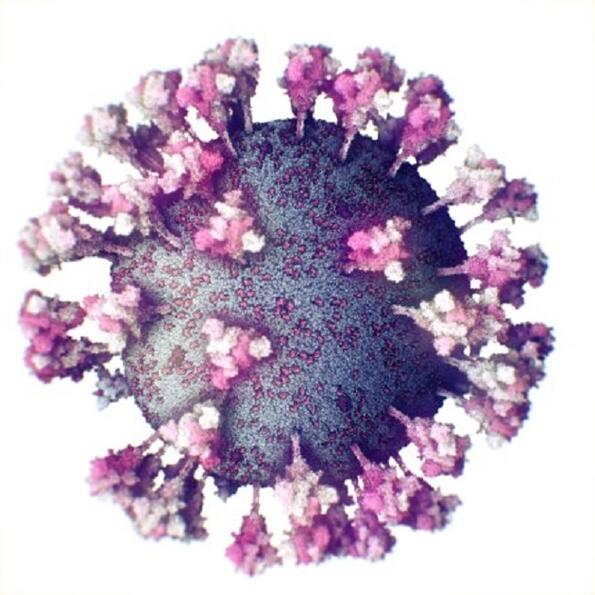 Как изглежда коронавирусът наистина?