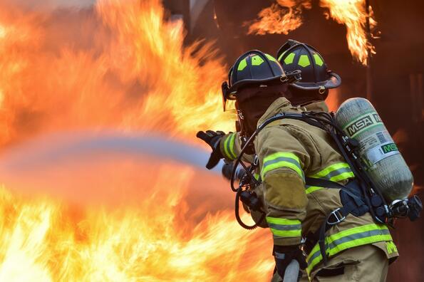Идиот на седмицата: Мъж се опита да изгори паяк със запалка и предизвика горски пожар в Юта