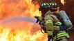 Идиот на седмицата: Мъж се опита да изгори паяк със запалка и предизвика горски пожар в Юта