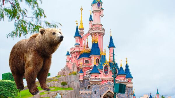 Дива мечка внесе смут, разхождайки се из Walt Disney World във Флорида
