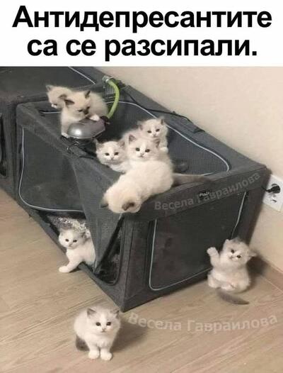 2387770