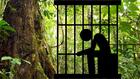 Франция ще строи затвор в Амазонската джунгла