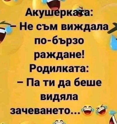 2388518