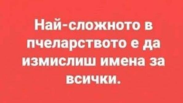 Най-добрите смешки от социалните мрежи до сряда!