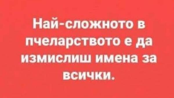 Най-добрите смешки от социалните мрежи до сряда!
