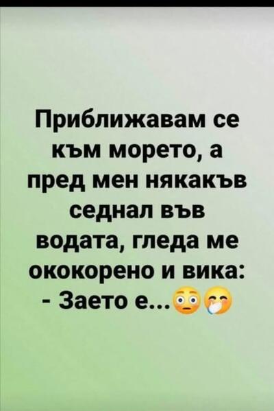 2388564
