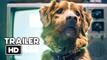 Good boy: Първи трейлър на филма на ужасите с кучета (ВИДЕО)