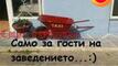 <p><span style="text-align: justify;">Да видим какво са ти подготвили всички онези хора в интернет, които ти доволно псуваш всеки ден. Може да се радваш, че поне е петък... ако е някаква утеха.</span></p>