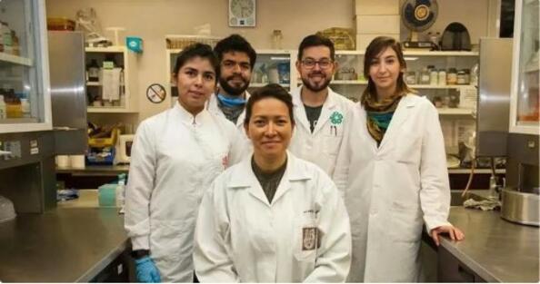 Мексикански учен успешно изчиства HPV в клинични проучвания