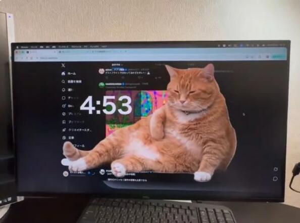 Гигантска котка в браузъра ти напомня да си почиваш