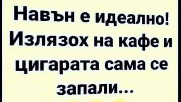 Най-добрите смешки, които се завъртяха в социалните мрежи тази седмица!