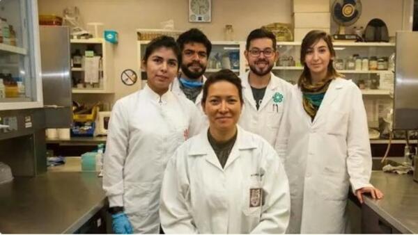 Мексикански учен успешно изчиства HPV в клинични проучвания