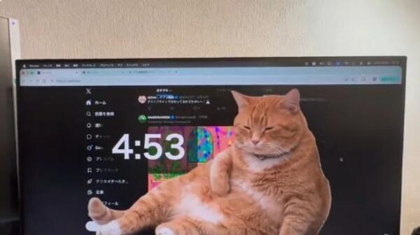Гигантска котка в браузъра ти напомня да си почиваш